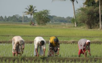 Farmers and volunteers collaborating for climate resilient farming through Meghdoot