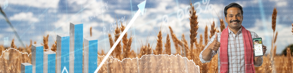 Farmer financial literacy and agriculture finance advisory for better income planning