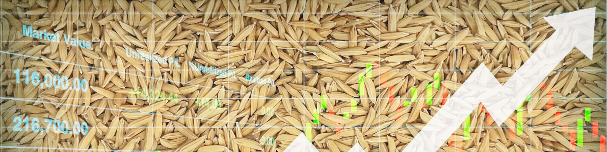 Agricultural market access and buyer linkage platform helping farmers discover better crop prices