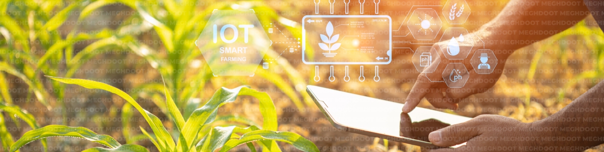 Smart crop advisory and digital farming guidance for farmers by Meghdoot