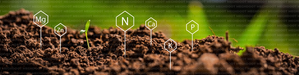 Soil health testing and soil intelligence insights for better crop productivity