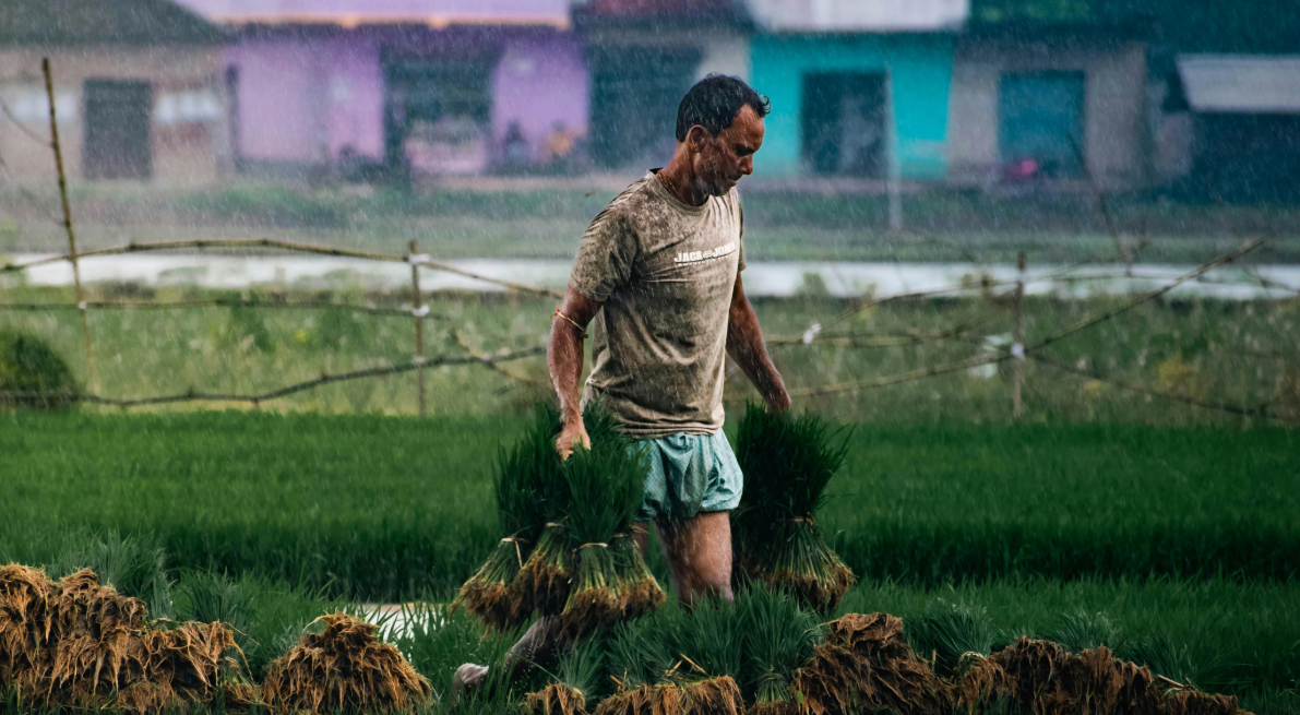 Meghdoot career opportunities in digital agriculture supporting farmers with climate intelligence and smart farming solutions
