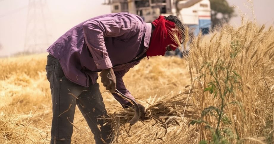 Financial literacy workshop helping farmers avoid debt traps and manage finances
