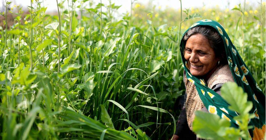 Women farmers using digital agriculture tools and community support programs