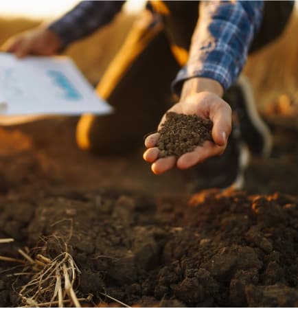 Soil testing and soil health intelligence for better crop productivity
