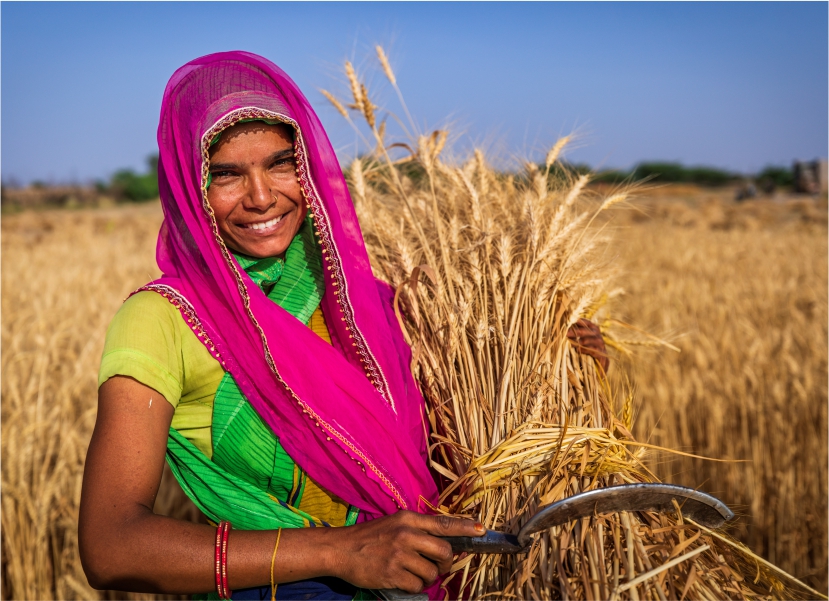 farmers benefiting from integrated agriculture services and income stability support