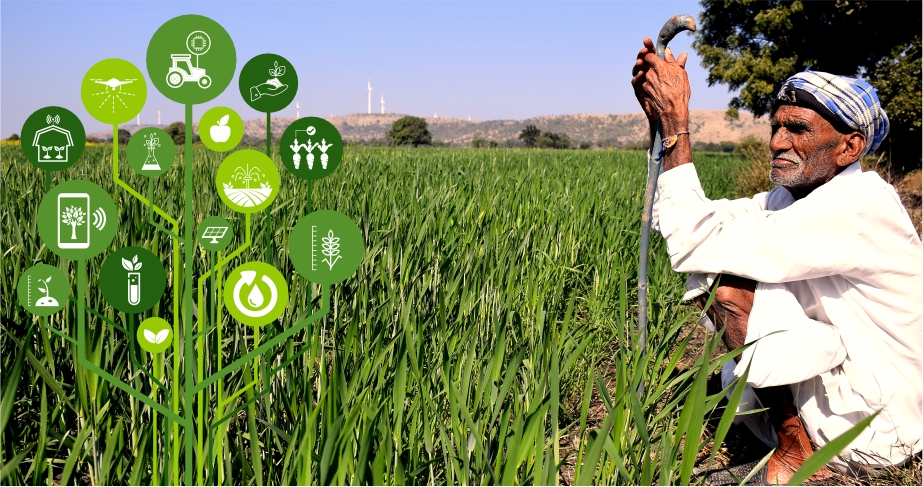 Hyperlocal weather forecast dashboard supporting climate ready farming decisions