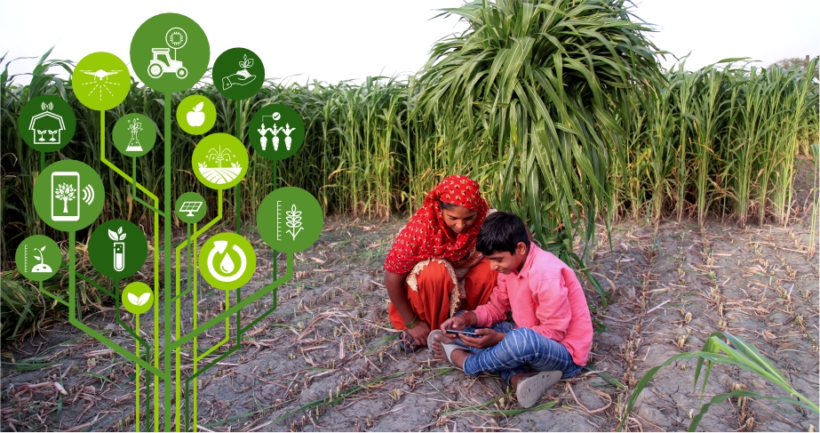 Early weather warning system helping farmers protect crops from climate risks