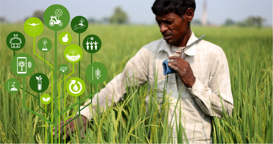 Climate risk monitoring and decision support for sustainable agriculture