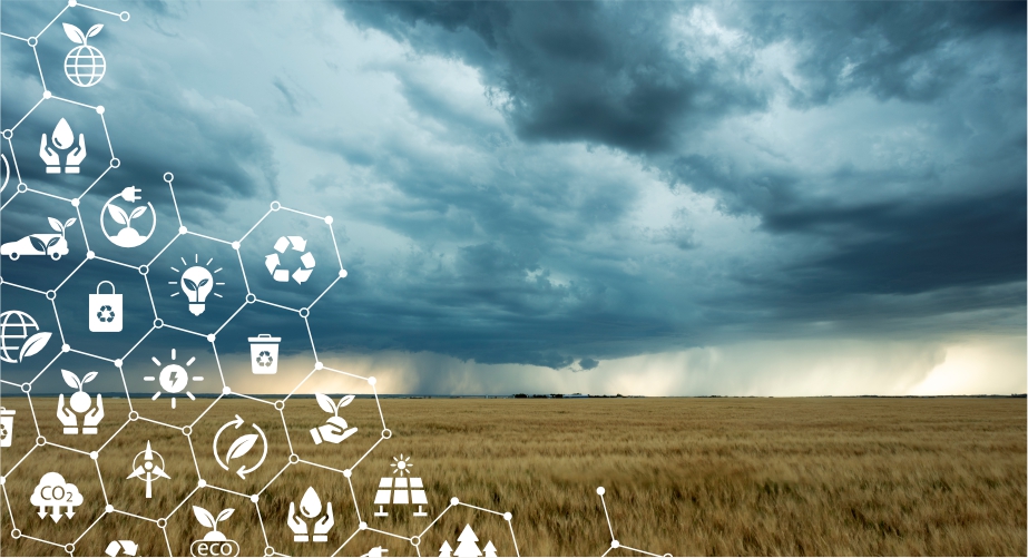 Meghdoot climate intelligence platform providing hyperlocal weather insights and risk alerts for farmers