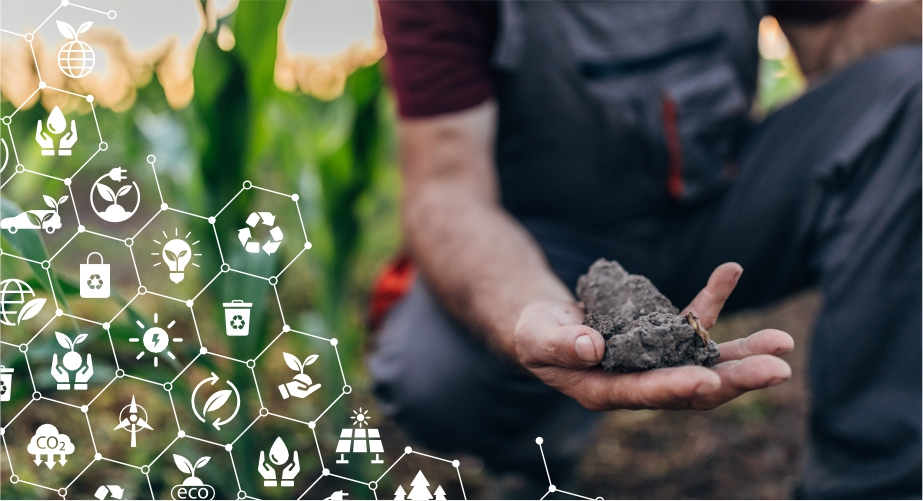 Soil intelligence platform providing soil testing insights and crop nutrient recommendations