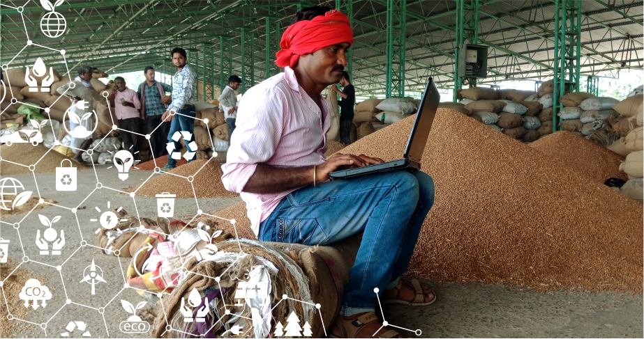 Farmer checking crop market prices using digital agriculture marketplace