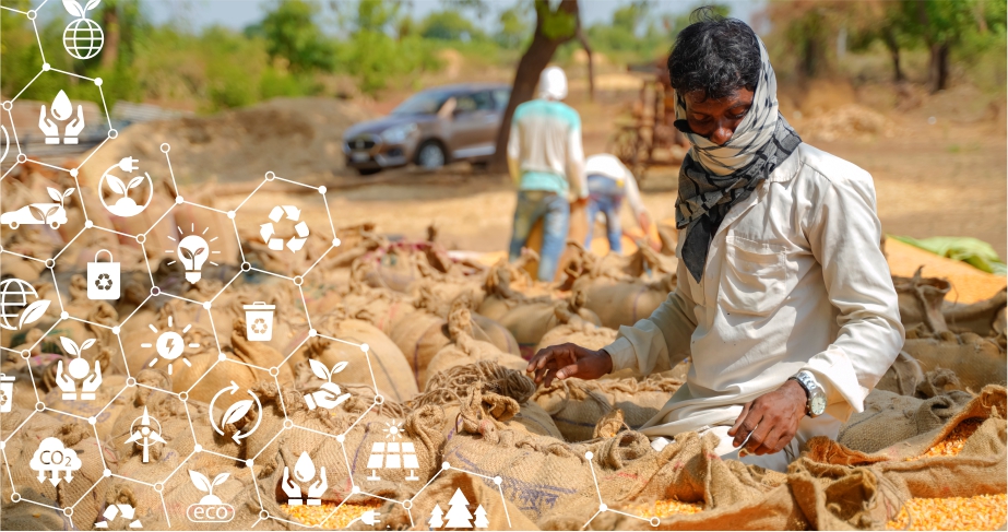 Agriculture value chain market access improving farmer income