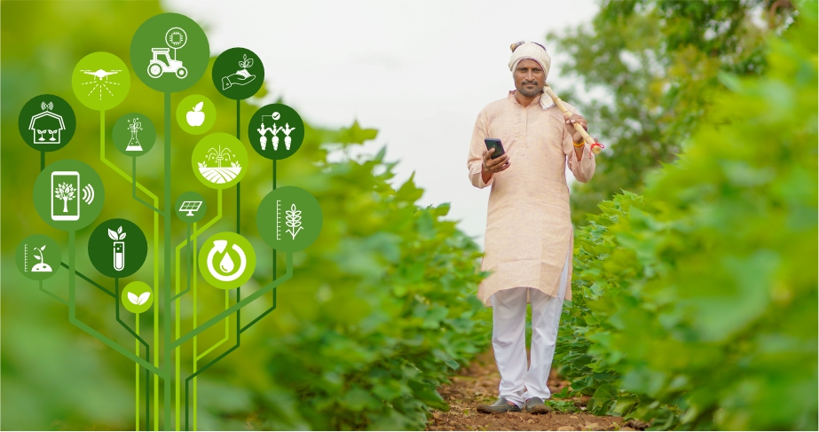 Farmer using digital smart advisory for crop management